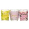 CARROLL & CHAN - 3 Votive Set: Sakura, Jasmine, Rose & Cranberry, Ginger Lily 013939  3pcs