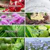 Scented Candles Gifts Set 8 Pack;  Candles for Home Scented Soy Wax Candles Gifts for Women Wife;  Aromatherapy Candle Set for Mothers Day;  Birthday;
